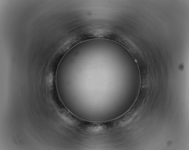 X0000101090646200807031727