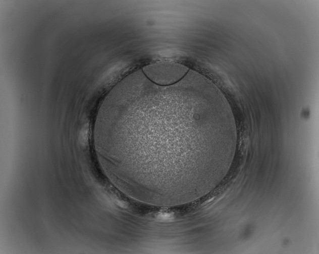 X0000101090647200807031727