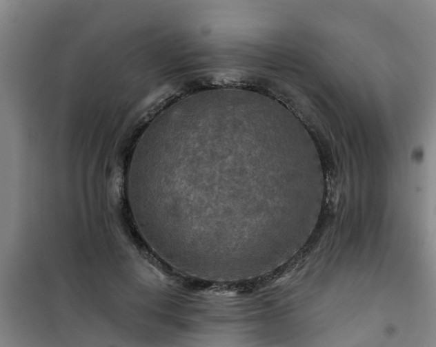 X0000101090648200807031727