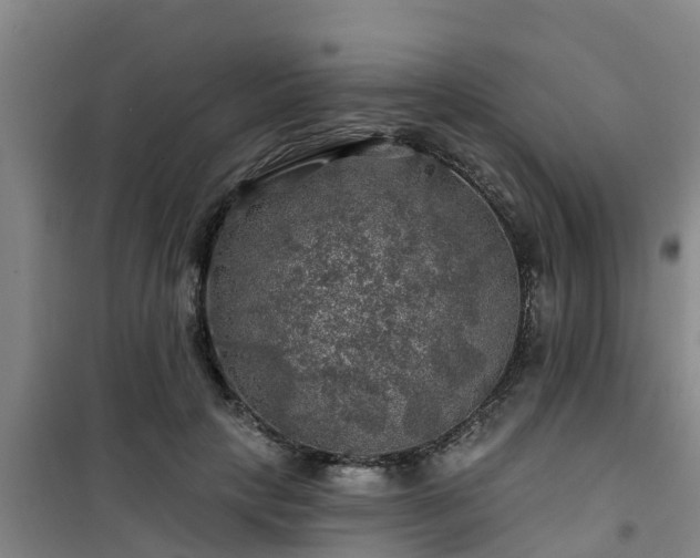 X0000101090649200807031727