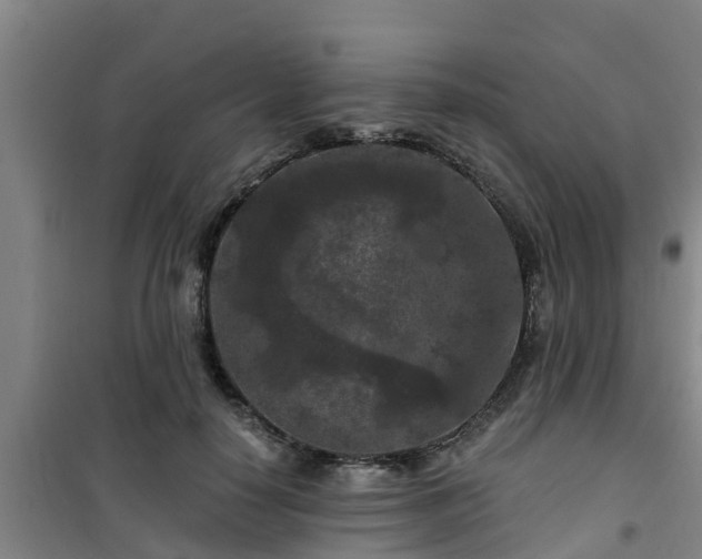 X0000101090650200807031727