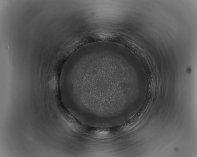 X0000101090651200807031727