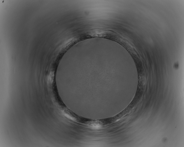 X0000101090652200807031727