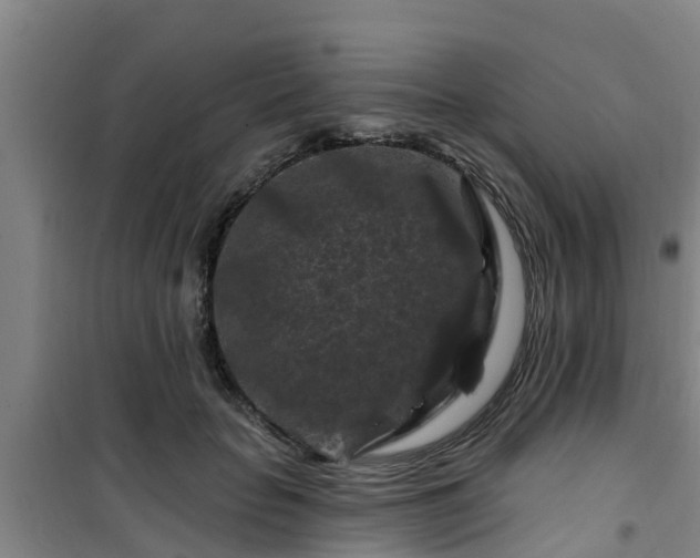 X0000101090653200807031727