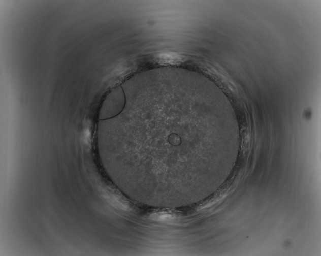 X0000101090655200807031727