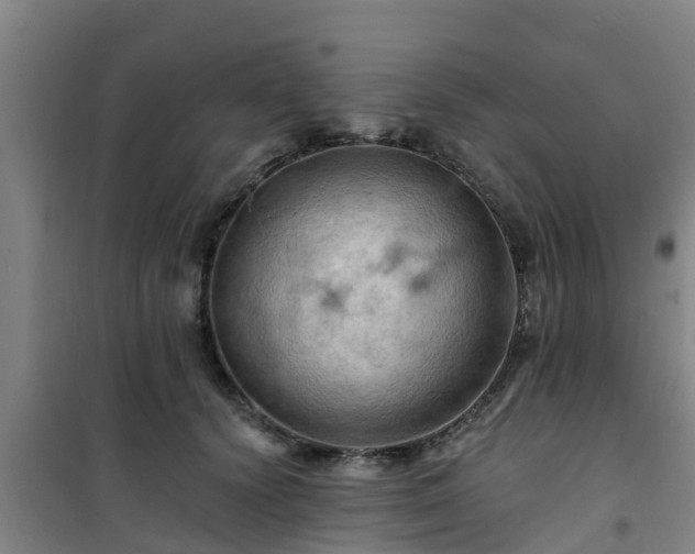 X0000101090656200807031727