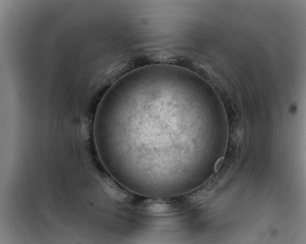 X0000101090658200807031727