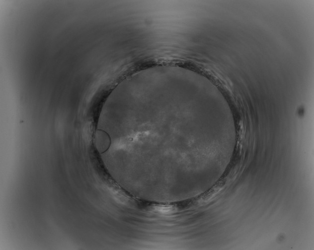 X0000101090659200807031727