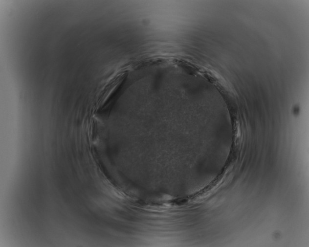 X0000101090661200807031727