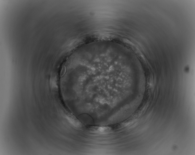 X0000101090663200807031727