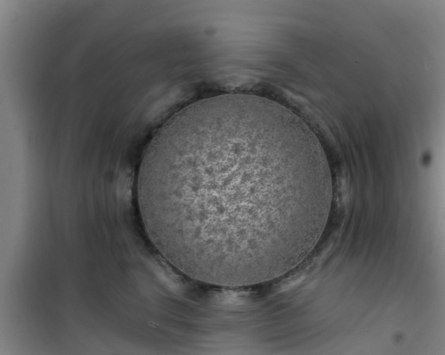 X0000101090664200807031727