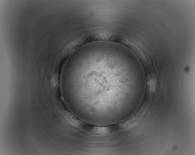 X0000101090665200807031727