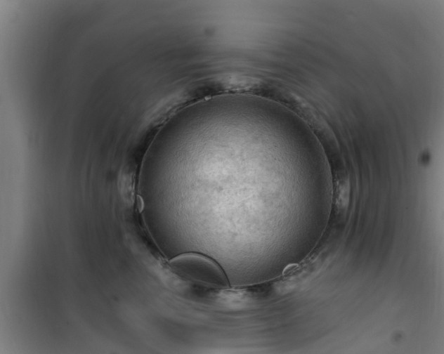 X0000101090666200807031727