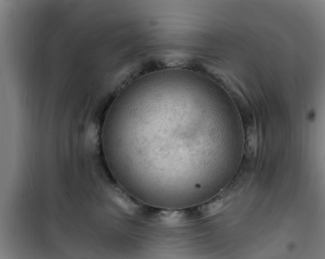 X0000101090667200807031727