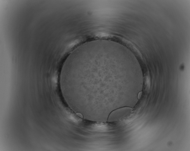 X0000101090668200807031727