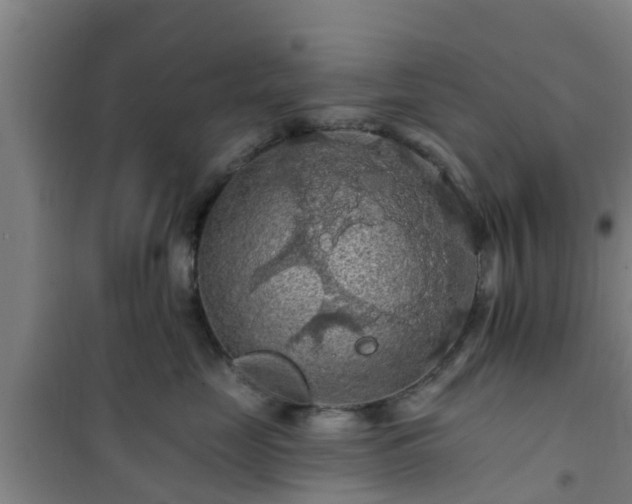 X0000101090669200807031728