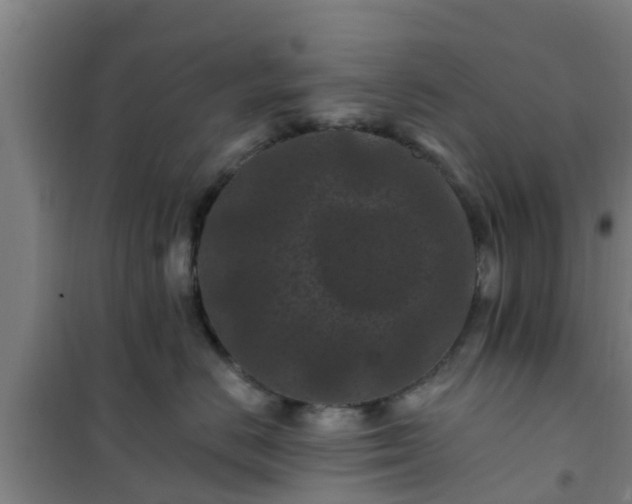 X0000101090670200807031728