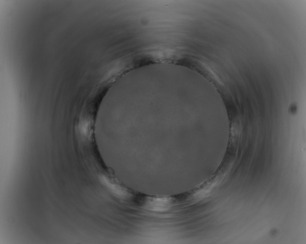 X0000101090671200807031728