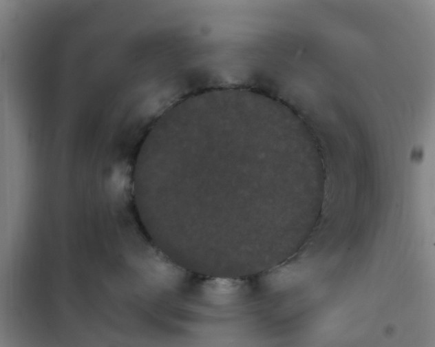 X0000101090672200807031728