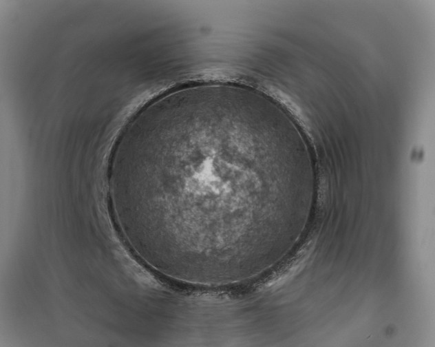 X0000101090673200807031727