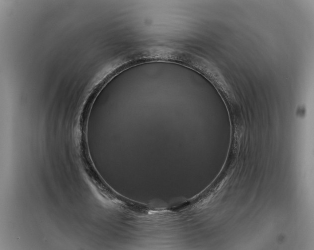 X0000101090674200807031727