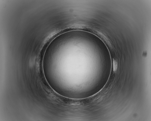 X0000101090675200807031727