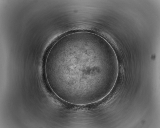 X0000101090676200807031727