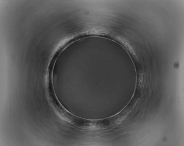 X0000101090678200807031727