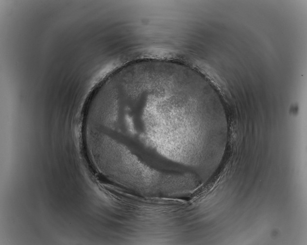 X0000101090679200807031727