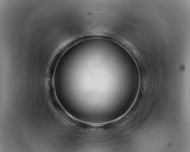 X0000101090680200807031727