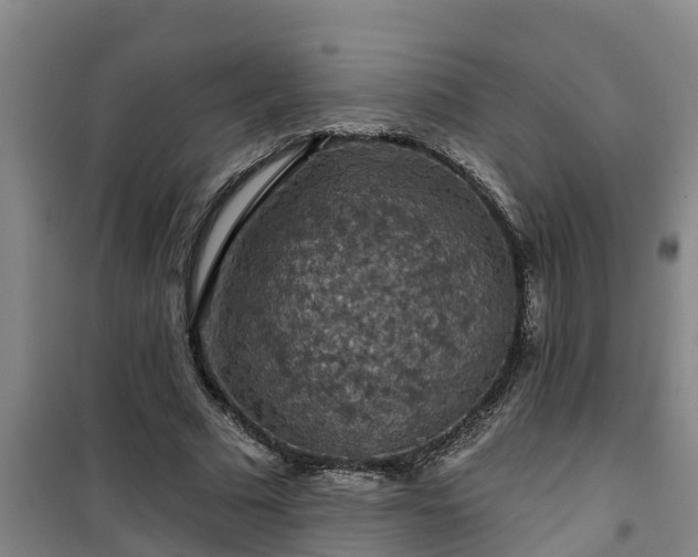 X0000101090681200807031727