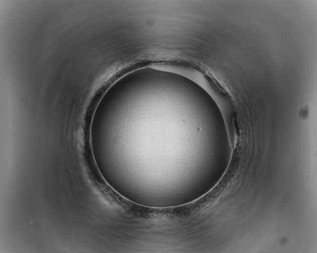 X0000101090682200807031727