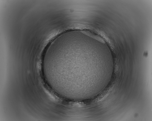 X0000101090683200807031727