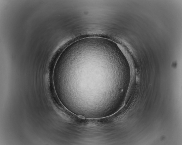 X0000101090684200807031727