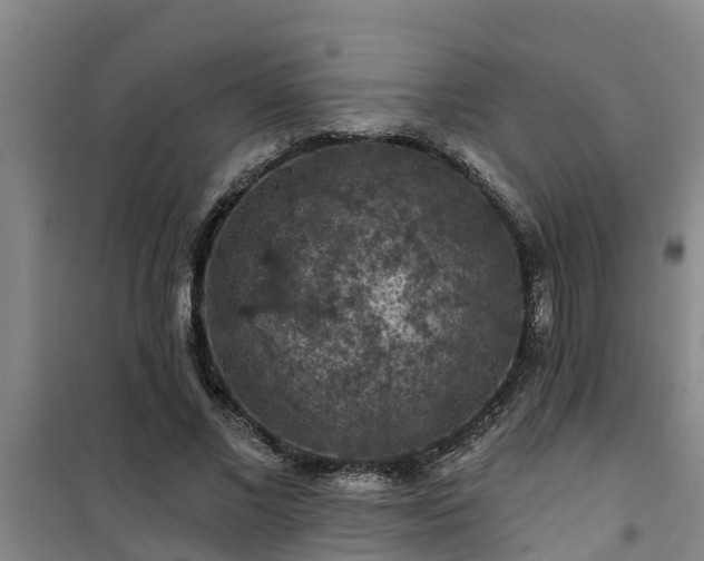 X0000101090685200807031727