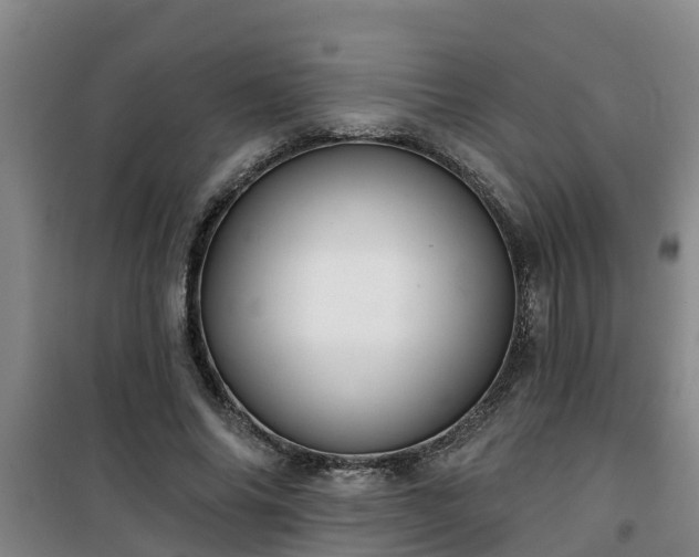 X0000101090686200807031727