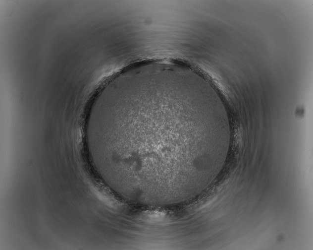 X0000101090687200807031727