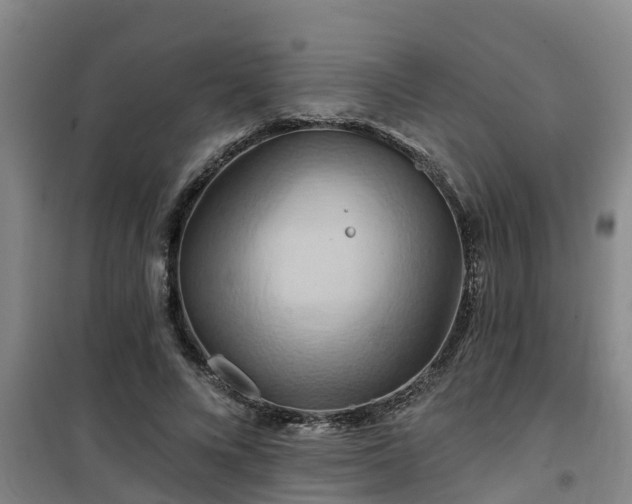 X0000101090688200807031727