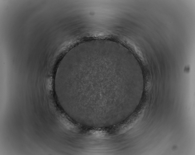 X0000101090689200807031727