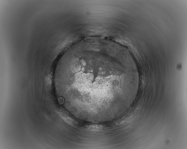 X0000101090691200807031727