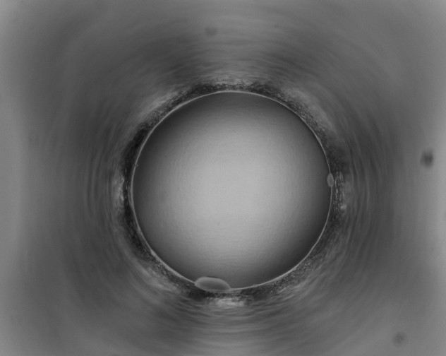 X0000101090692200807031727