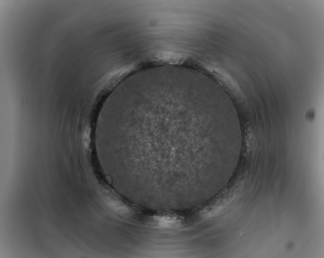 X0000101090693200807031727