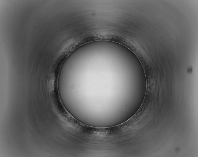 X0000101090694200807031727