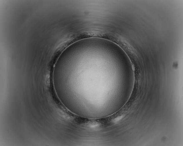 X0000101090696200807031727