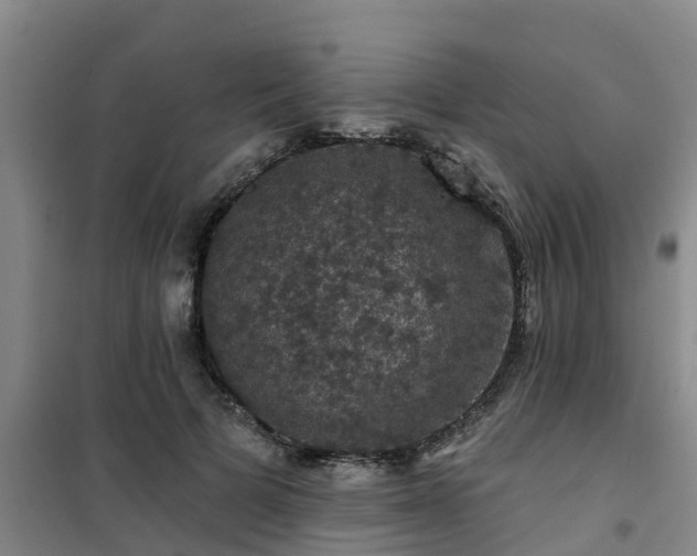 X0000101090697200807031727