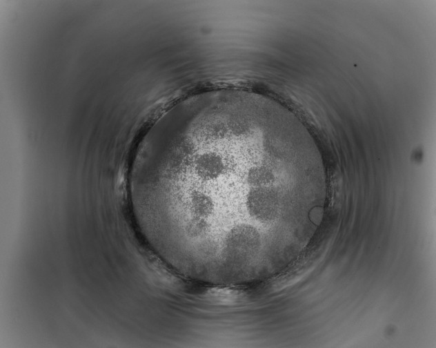 X0000101090699200807031726