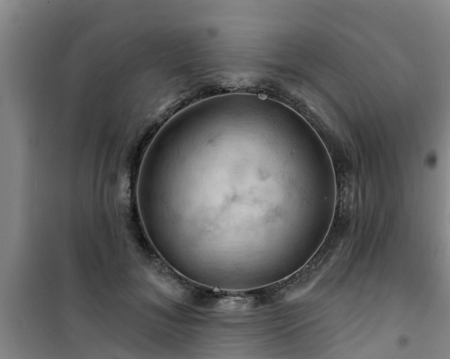 X0000101090700200807031726