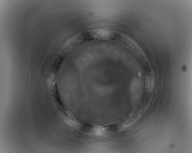 X0000101090701200807031726