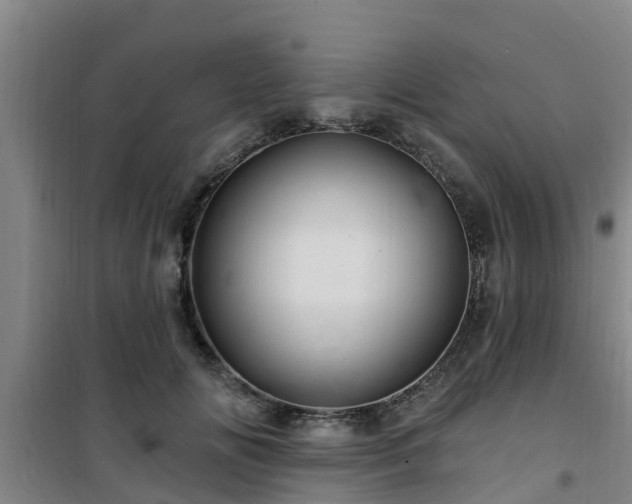 X0000101090702200807031726