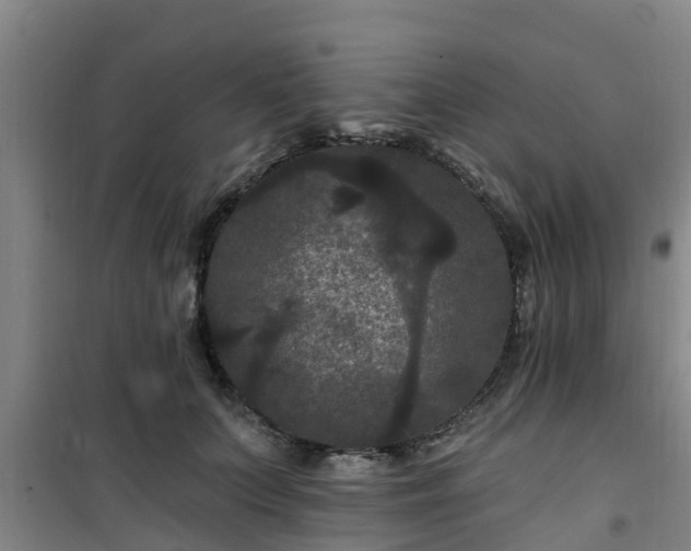 X0000101090703200807031726